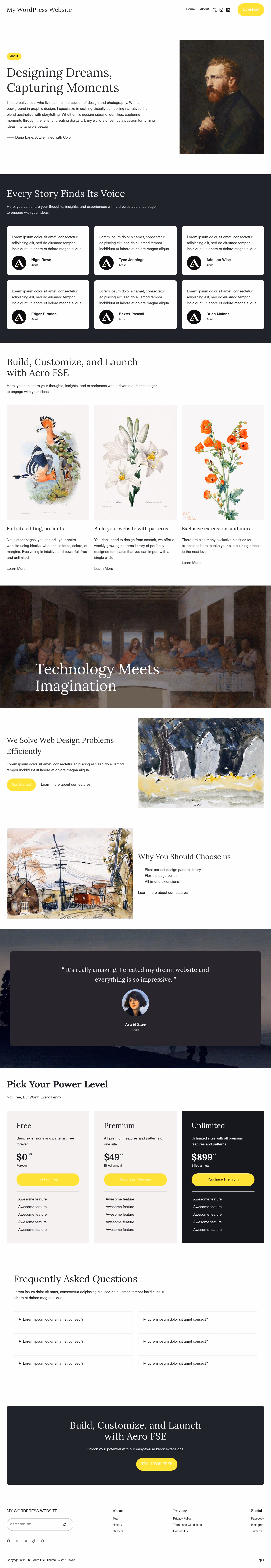 Aero FSE home page, WordPress original