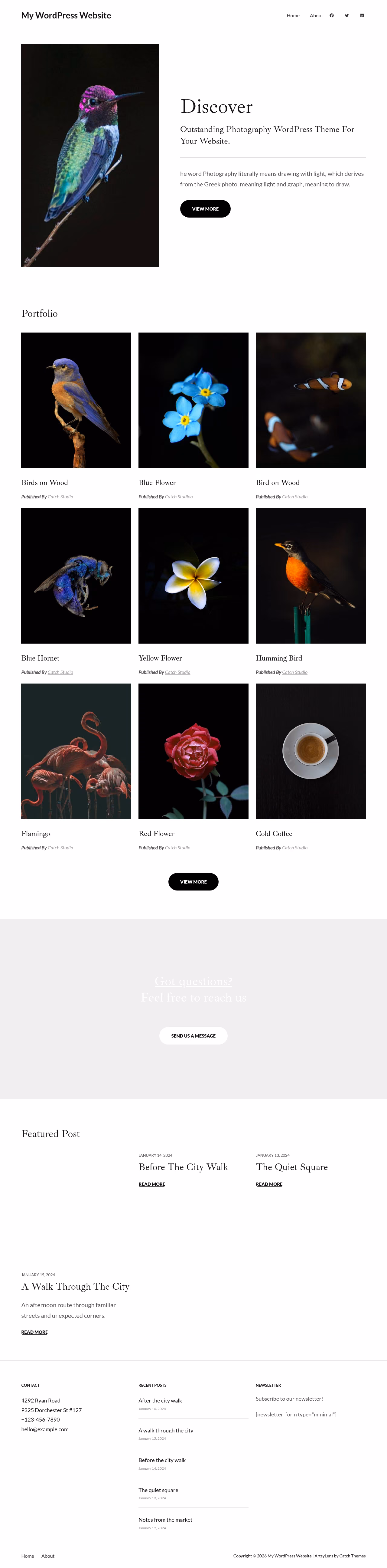 ArtsyLens home page, WordPress original
