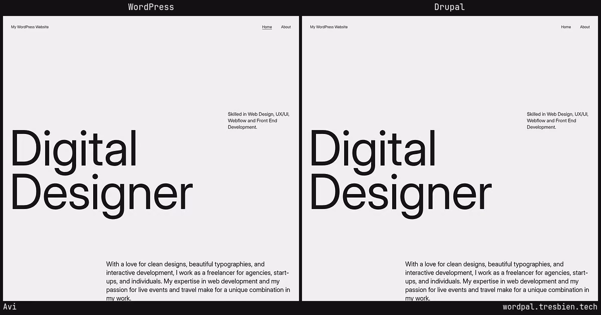 Avi home page: WordPress original on the left, Drupal conversion by WordPal on the right. 1 elements differ.