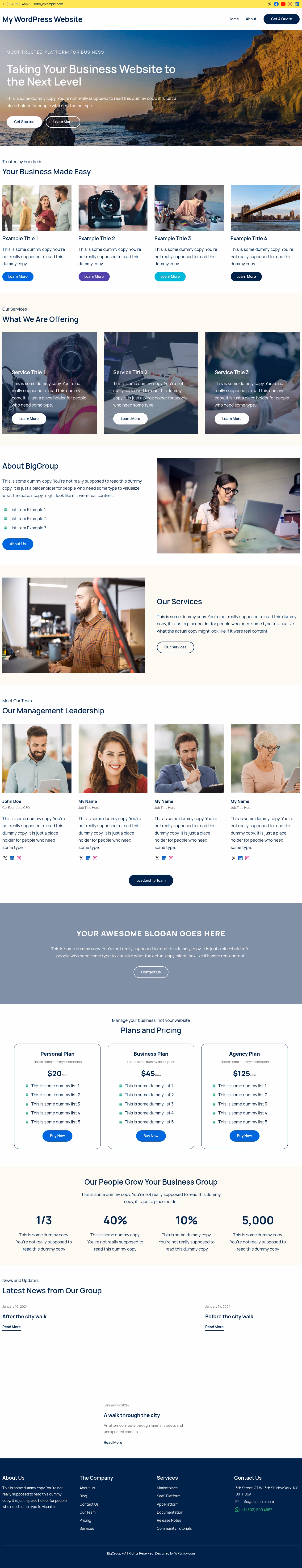 BigGroup home page, WordPress original
