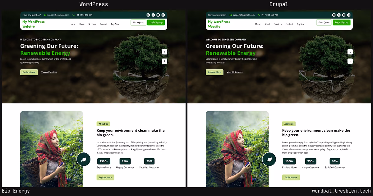 Bio Energy home page: WordPress original on the left, Drupal conversion by WordPal on the right. 7 elements differ.