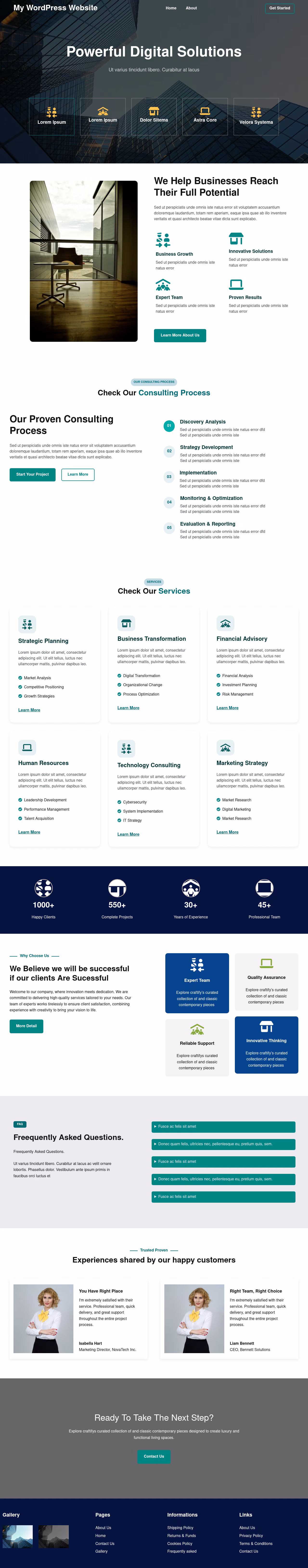 Bizora home page, WordPress original