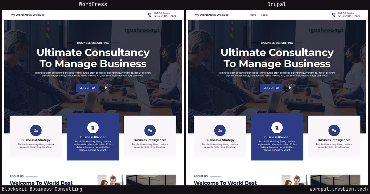 Blockskit Business Consulting home page: WordPress original on the left, Drupal conversion by WordPal on the right. 1 elements differ.