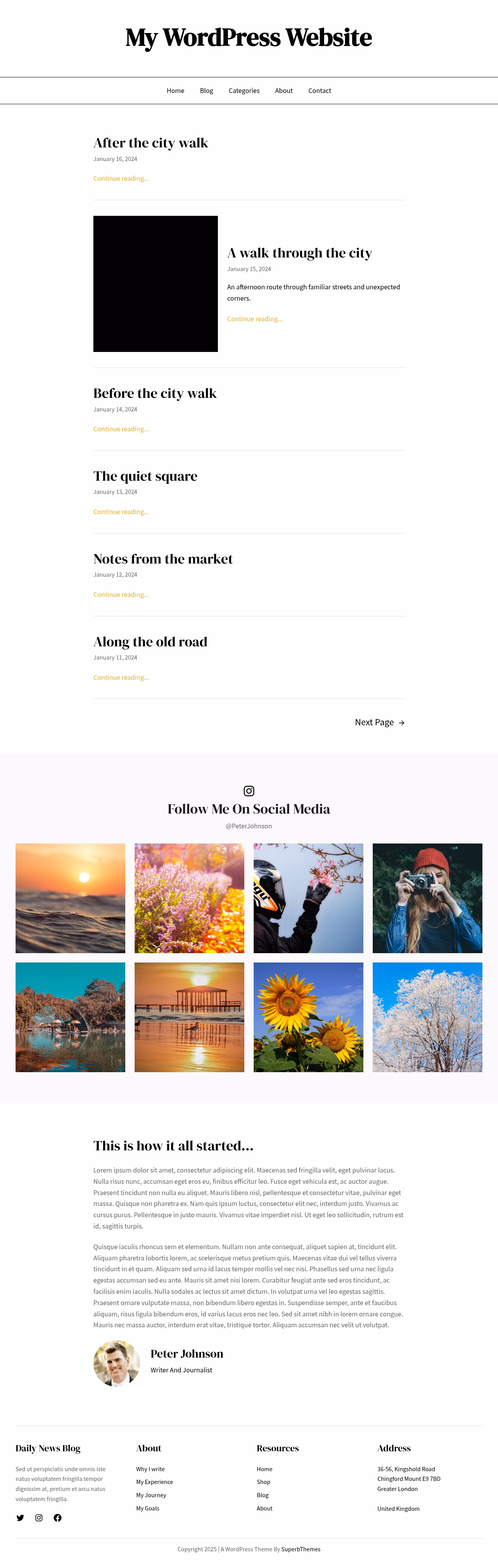 Daily News Blog home page, Drupal conversion by WordPal