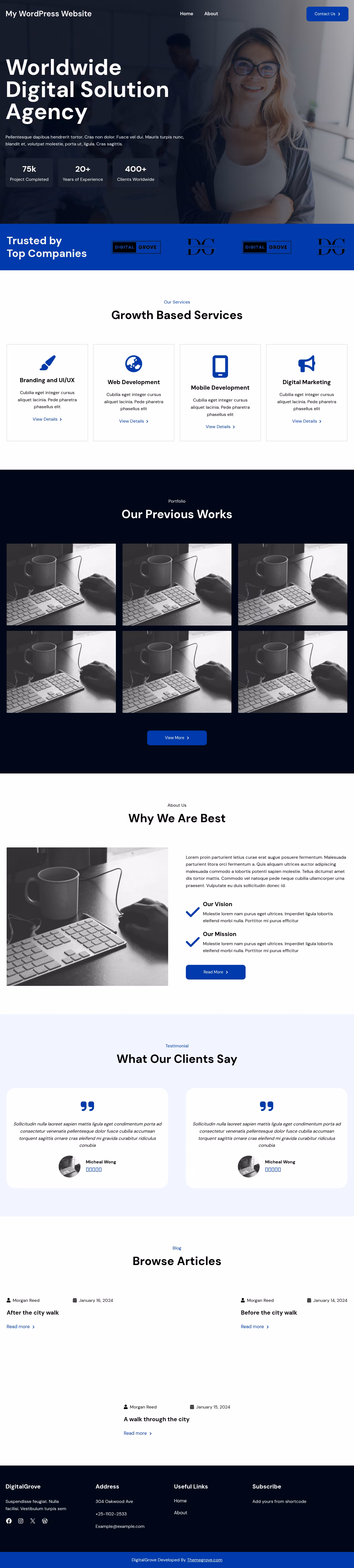 DigitalGrove home page, Drupal conversion by WordPal