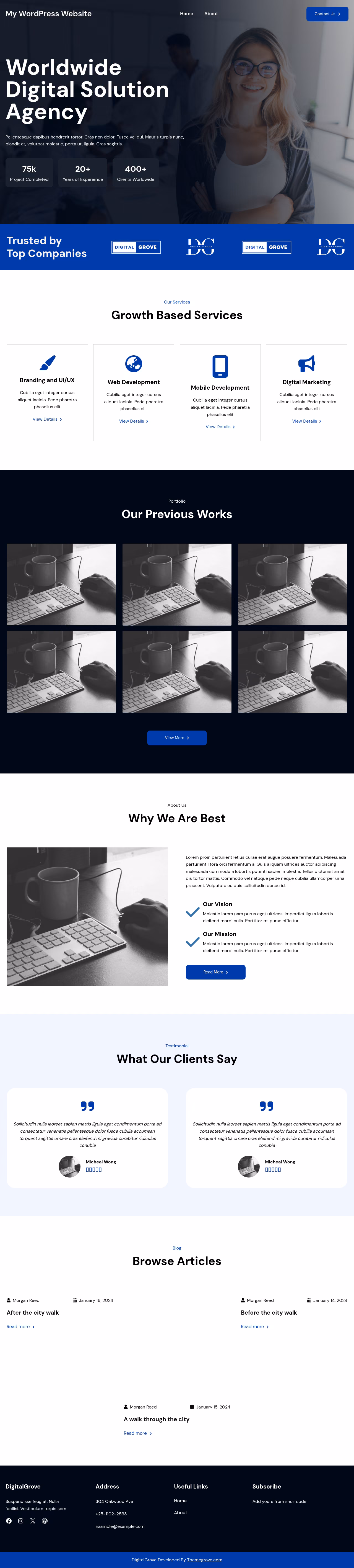 DigitalGrove home page, WordPress original
