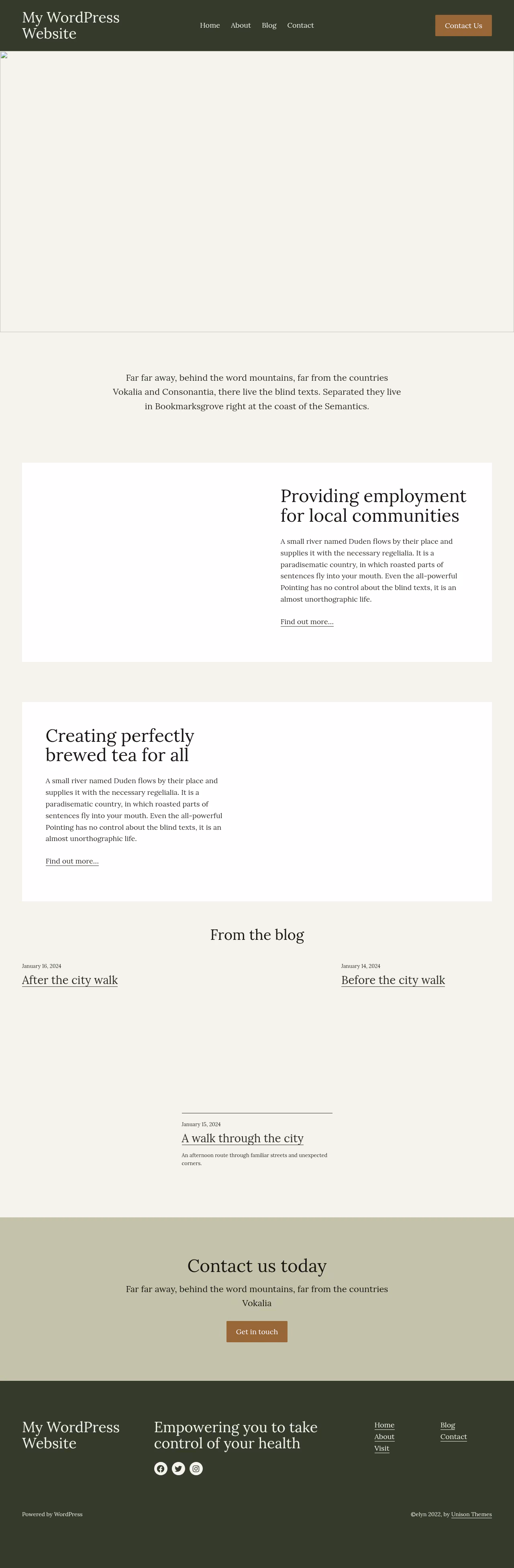 Elyn home page, WordPress original