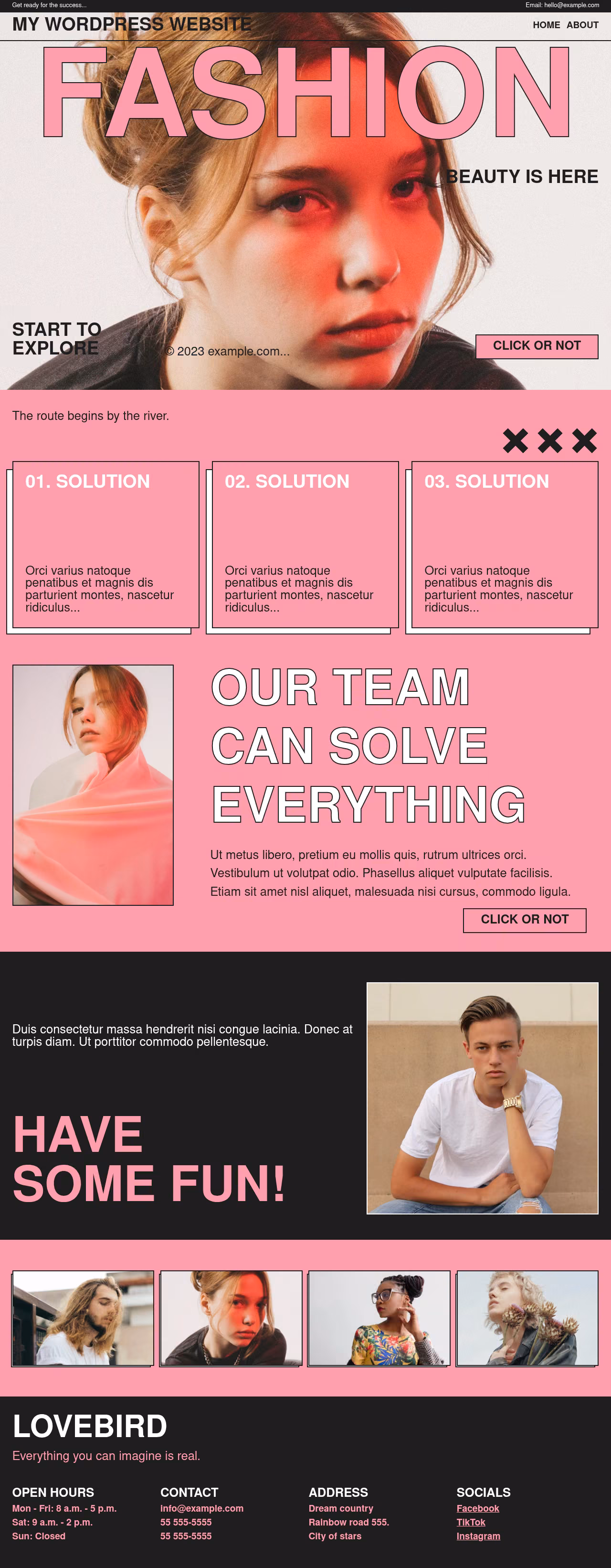 Lovebird home page, Drupal conversion by WordPal