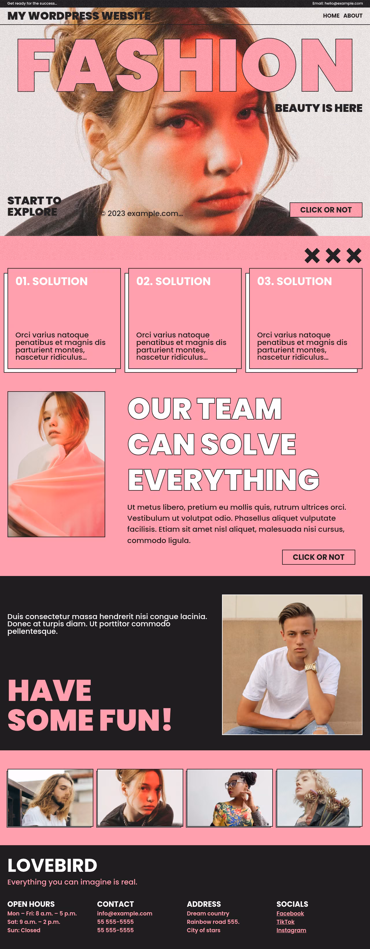 Lovebird home page, WordPress original