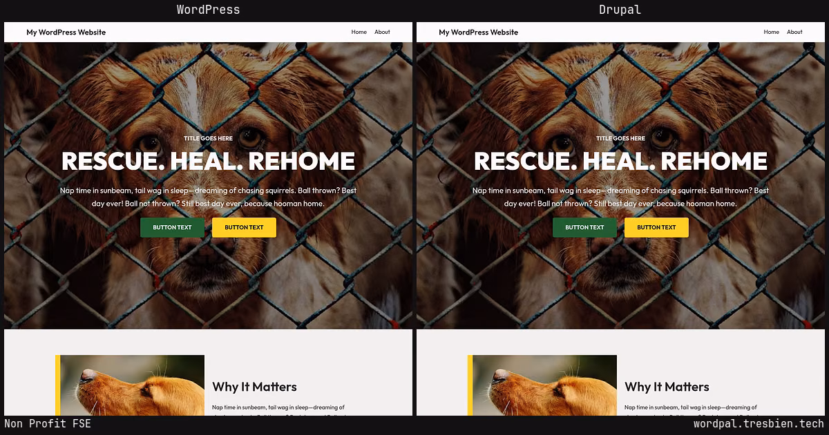 Non Profit FSE home page: WordPress original on the left, Drupal conversion by WordPal on the right. 4 elements differ.