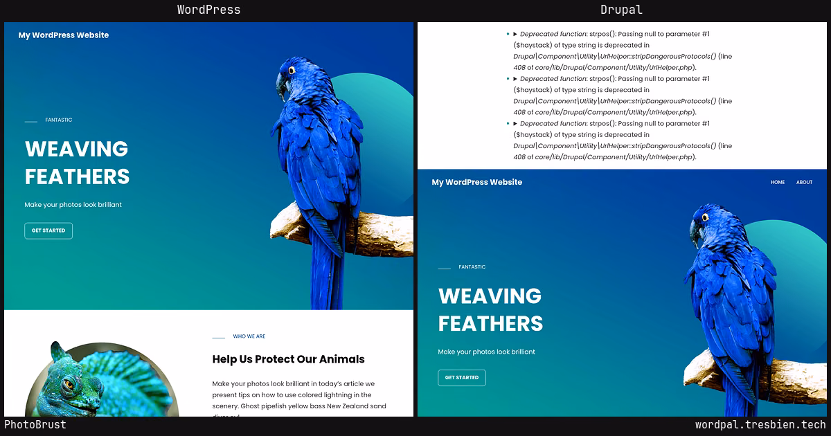 PhotoBrust home page: WordPress original on the left, Drupal conversion by WordPal on the right. 9 elements differ.