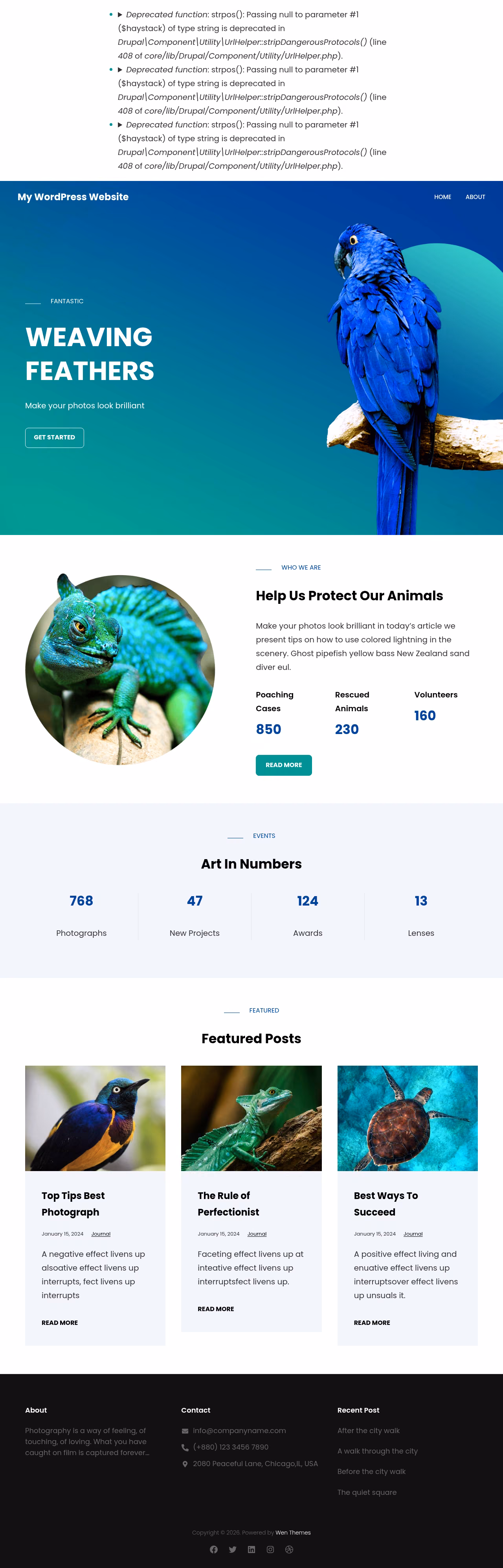 PhotoBrust home page, Drupal conversion by WordPal