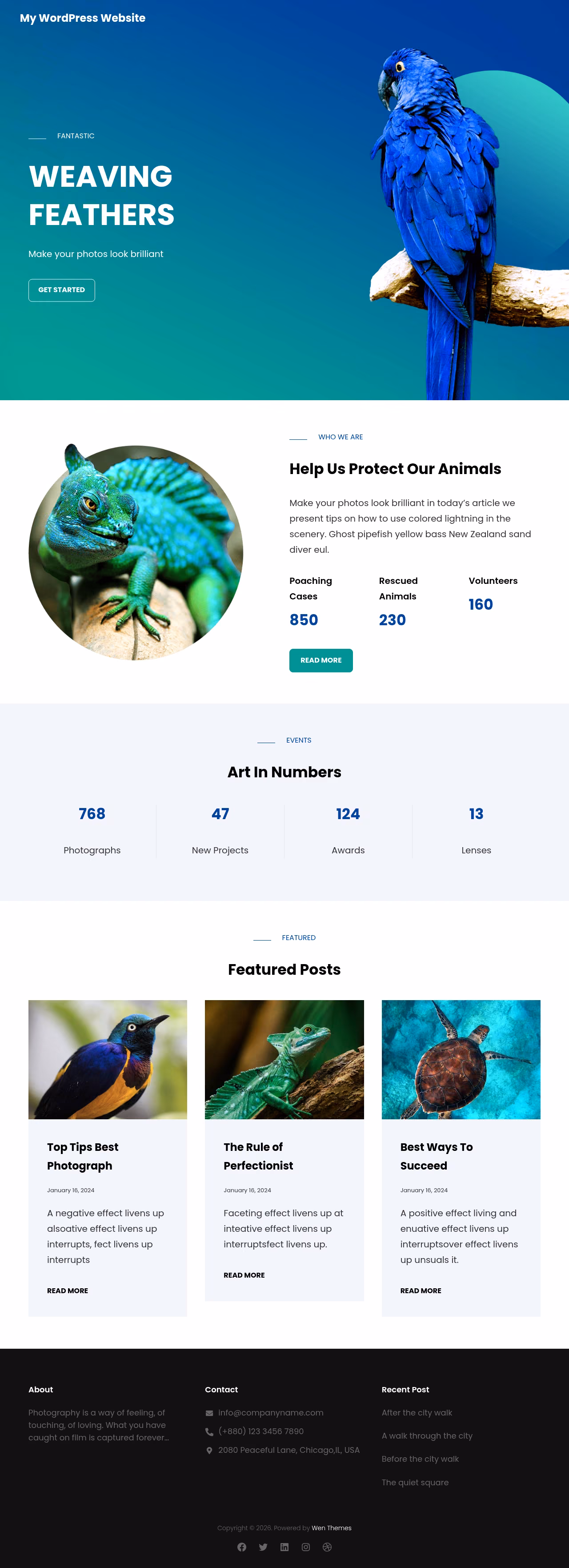 PhotoBrust home page, WordPress original