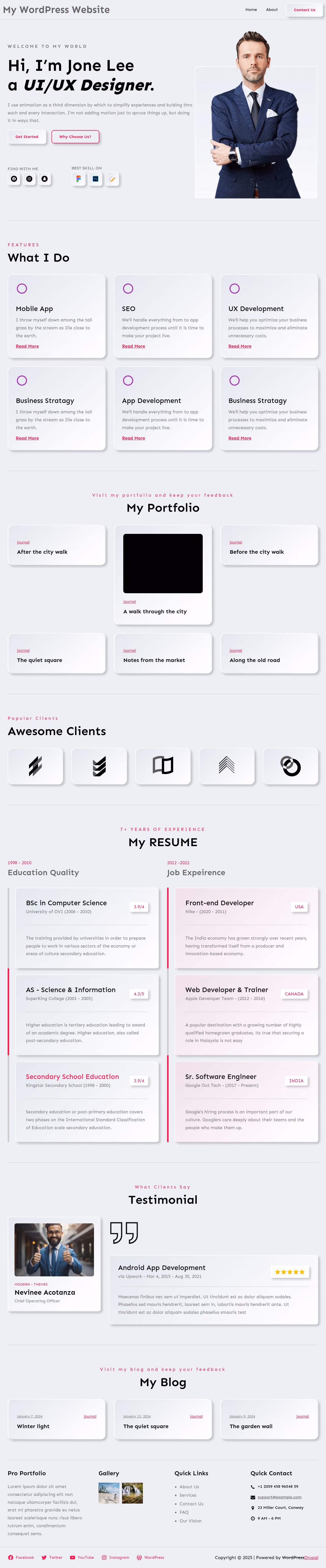 Pro Portfolio home page, Drupal conversion by WordPal