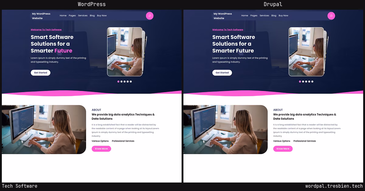 Tech Software home page: WordPress original on the left, Drupal conversion by WordPal on the right. 8 elements differ.