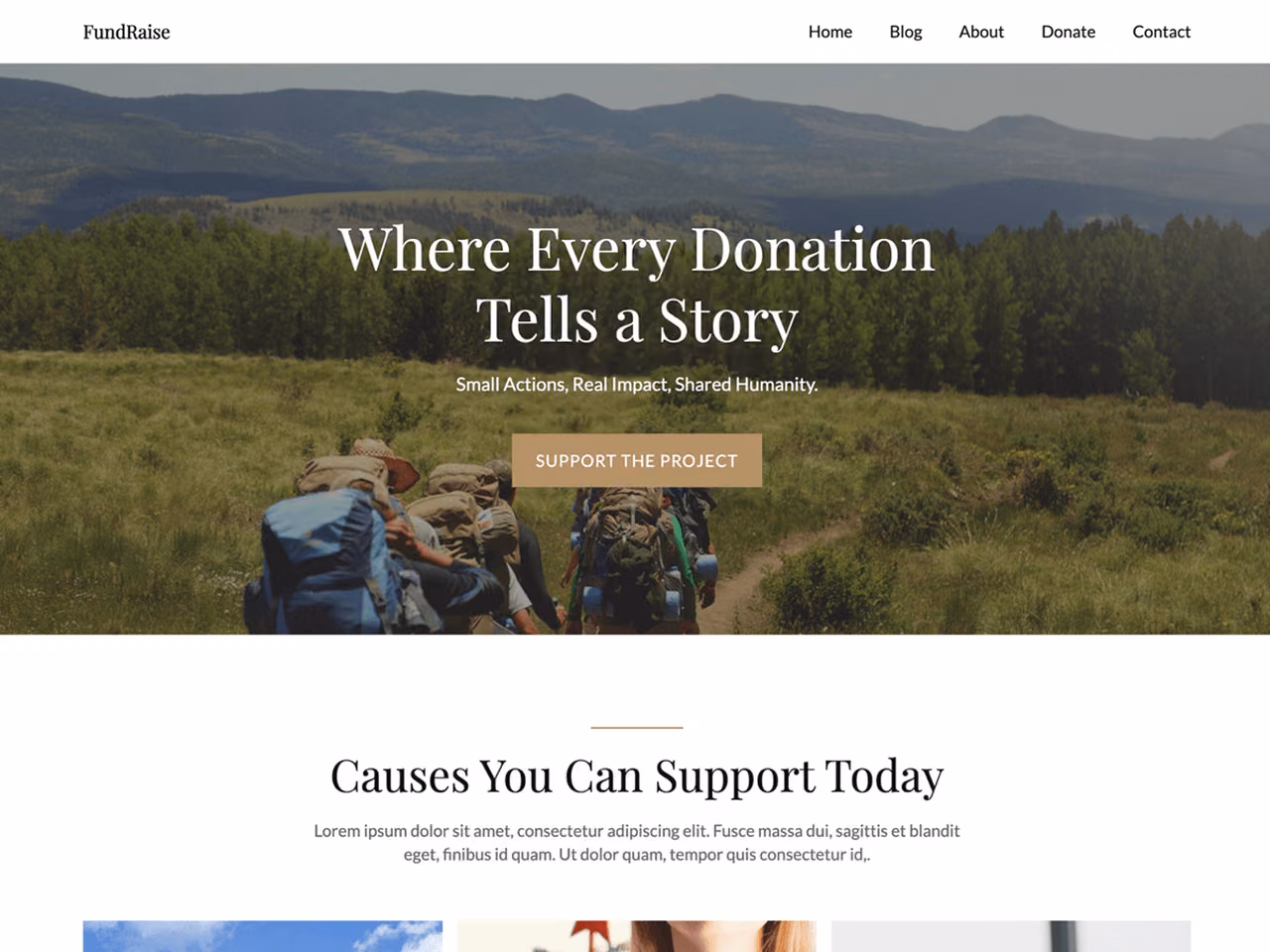 The Fundraiser home page, WordPress original