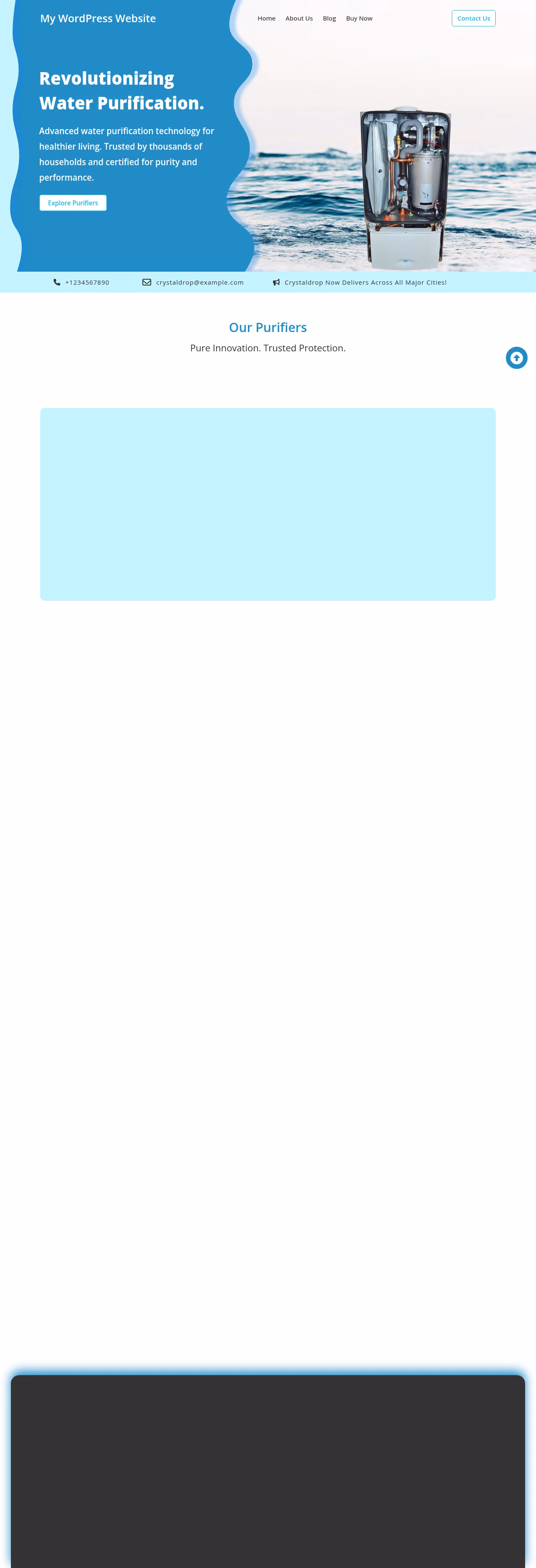 Water Filter home page, WordPress original