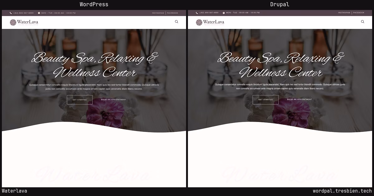 Waterlava home page: WordPress original on the left, Drupal conversion by WordPal on the right. 20 elements differ.