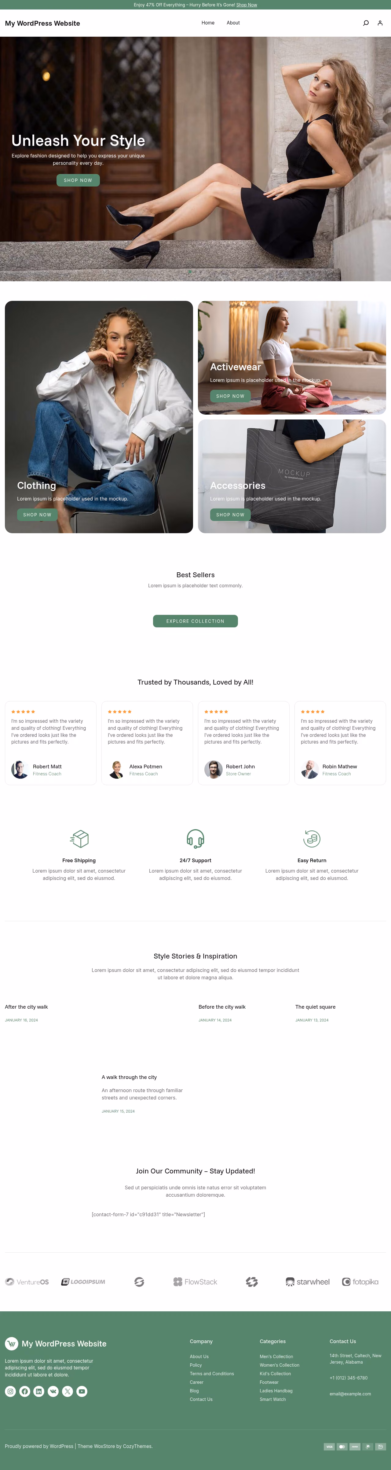 WoxStore home page, WordPress original